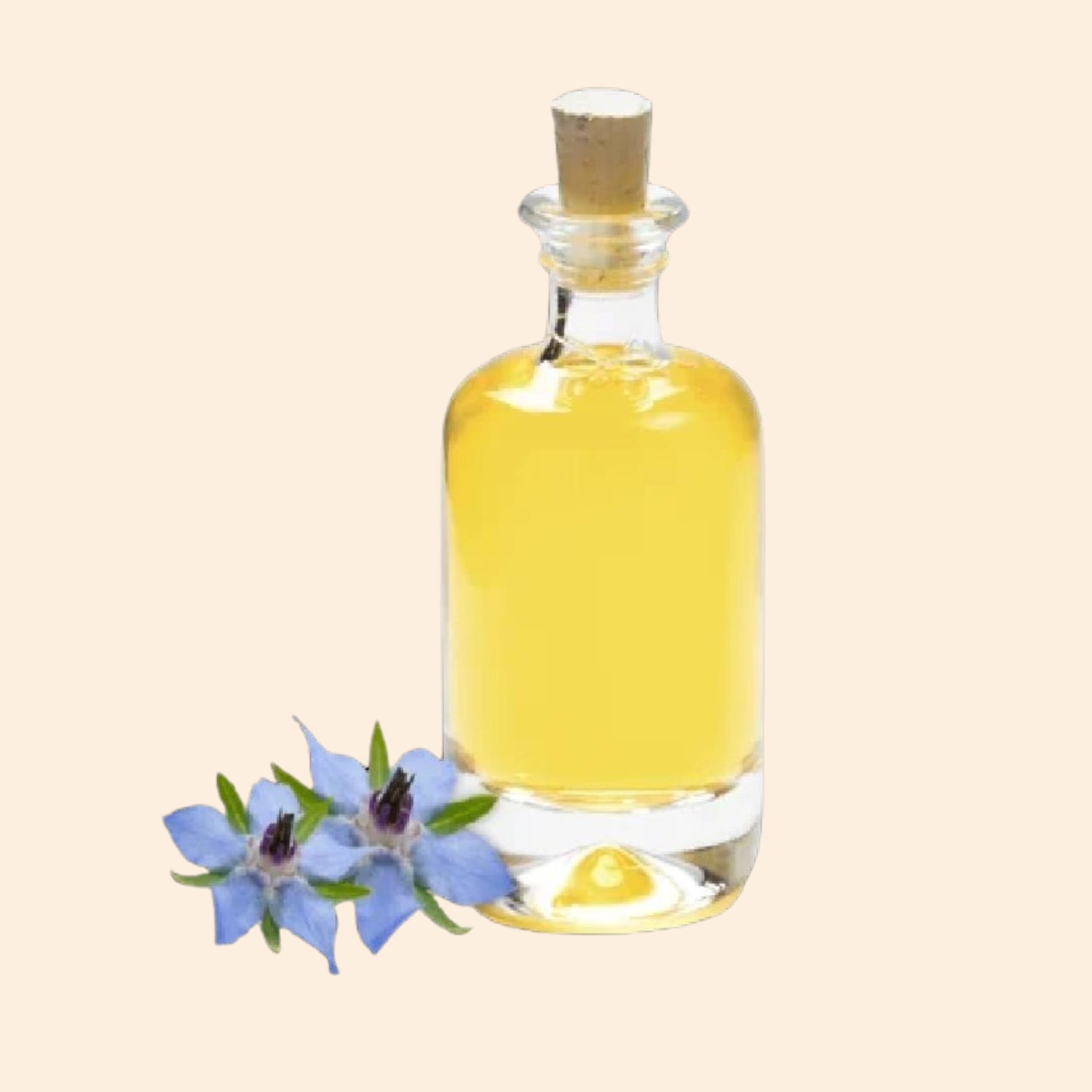 Shoprythm Hydrosols Borage Hydrosol Shoprythm Hydrosols Borage Hydrosol